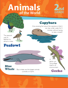 animals-of-the-world-workbook